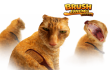 Brush Jjaemu img
