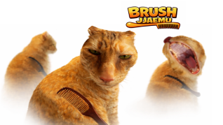 Brush Jjaemu Brush Jjaemu img
