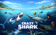 Crazy Shark img