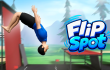 Flip Spot img
