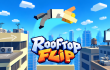 Rooftop Flip img