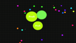 The Real Agar img