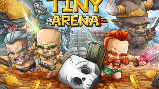 Tiny Arena img